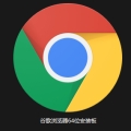 谷歌浏览器64位