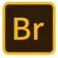 Windos系统 BR 2024 Windos系统 BR 2024